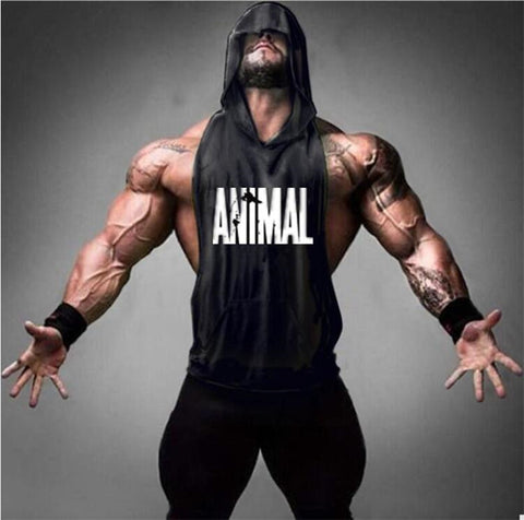New Brand Animal Fitness