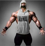 New Brand Animal Fitness