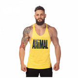 New Brand Animal Fitness