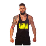 New Brand Animal Fitness