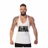 New Brand Animal Fitness