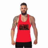 New Brand Animal Fitness