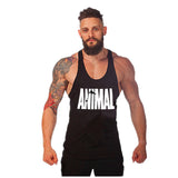 New Brand Animal Fitness